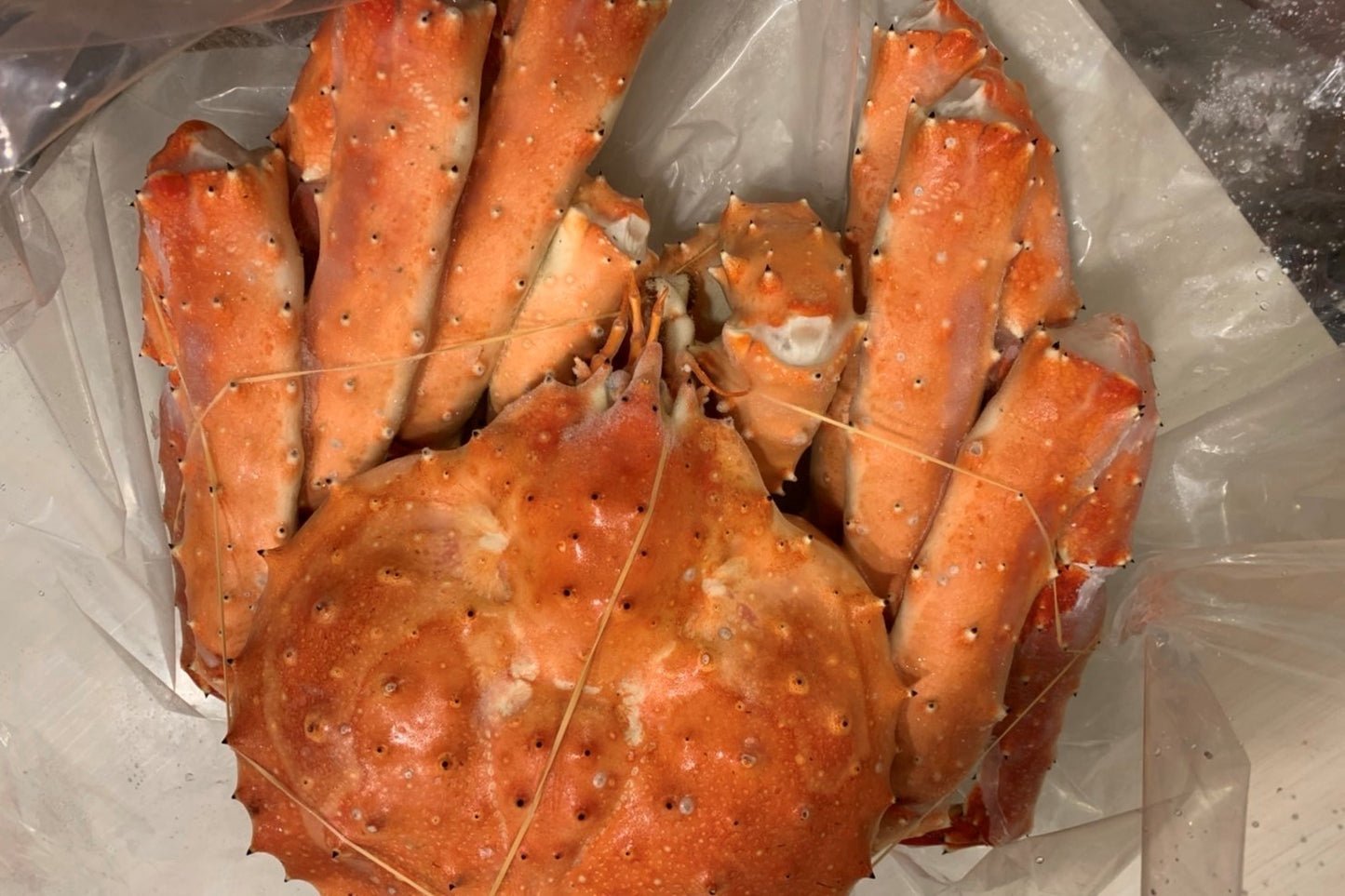 【限定商品 残り5杯!!】希少品!超特大4kg超 たらば蟹 姿🦀