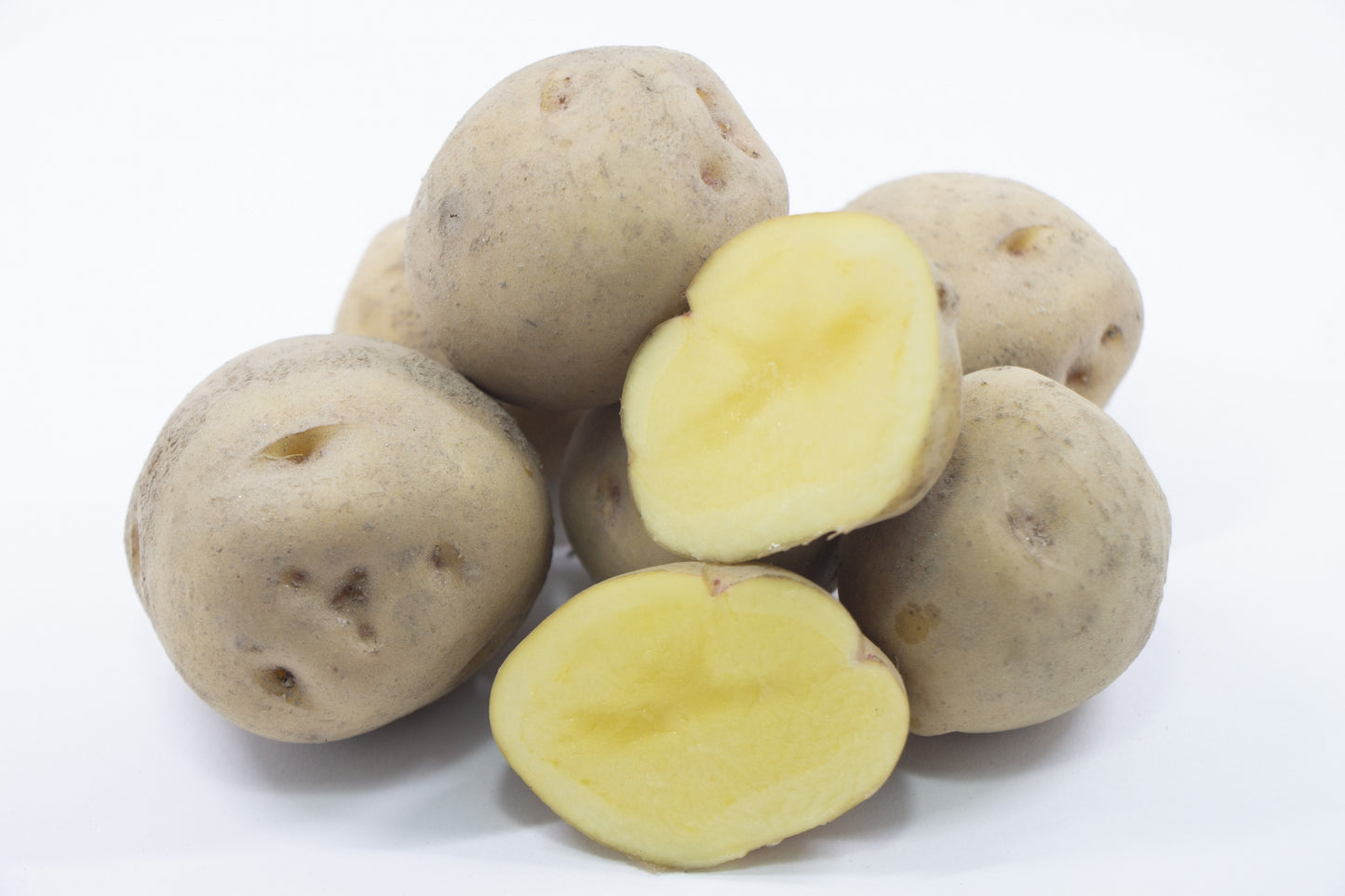 【新商品】北あかり🥔