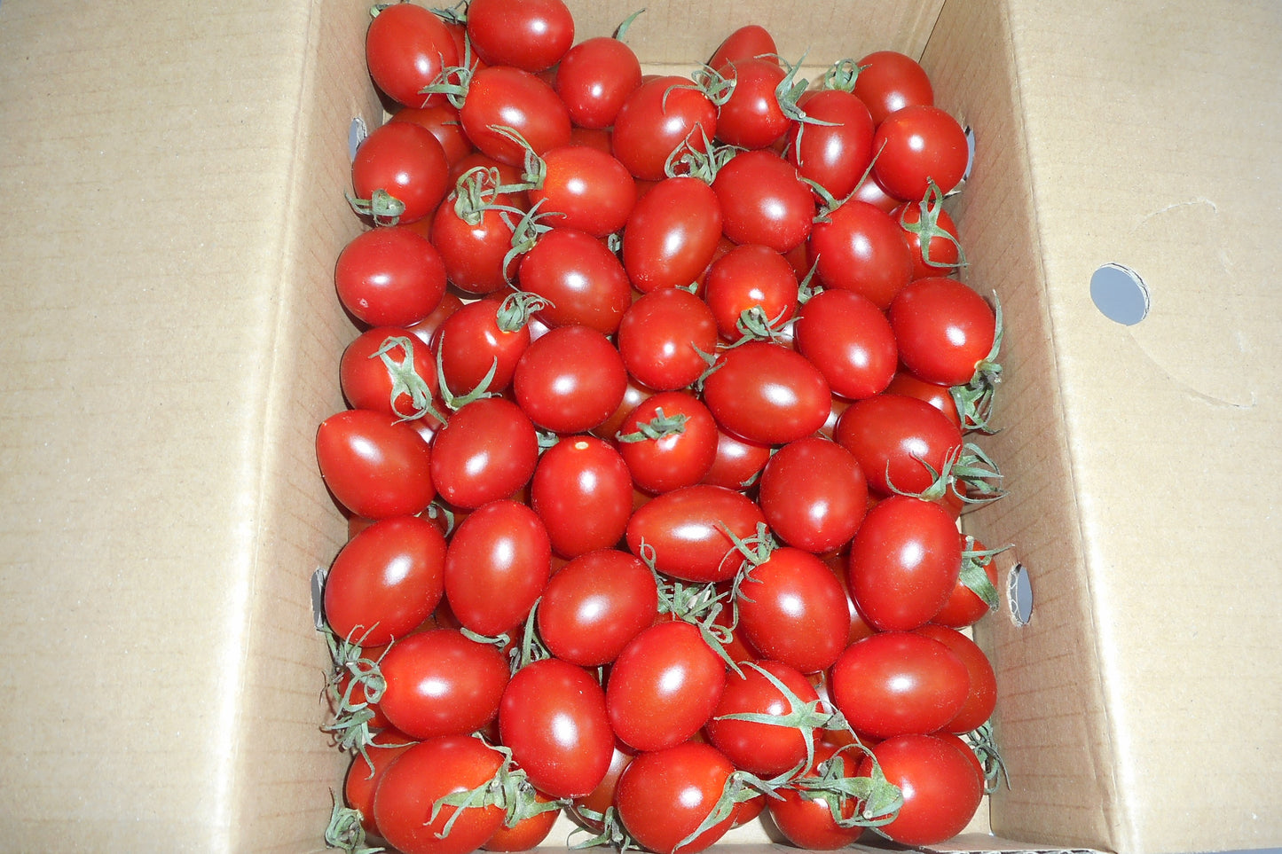 【新商品】 とまらん♪アイコ🍅