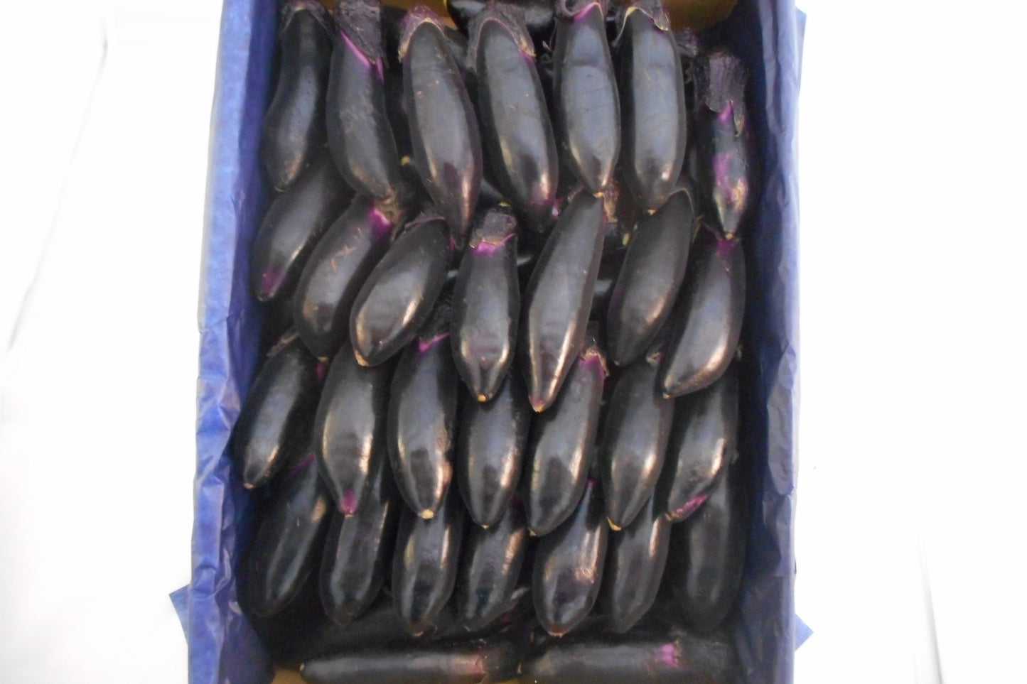 【新商品】蔵王サファイアナス🍆