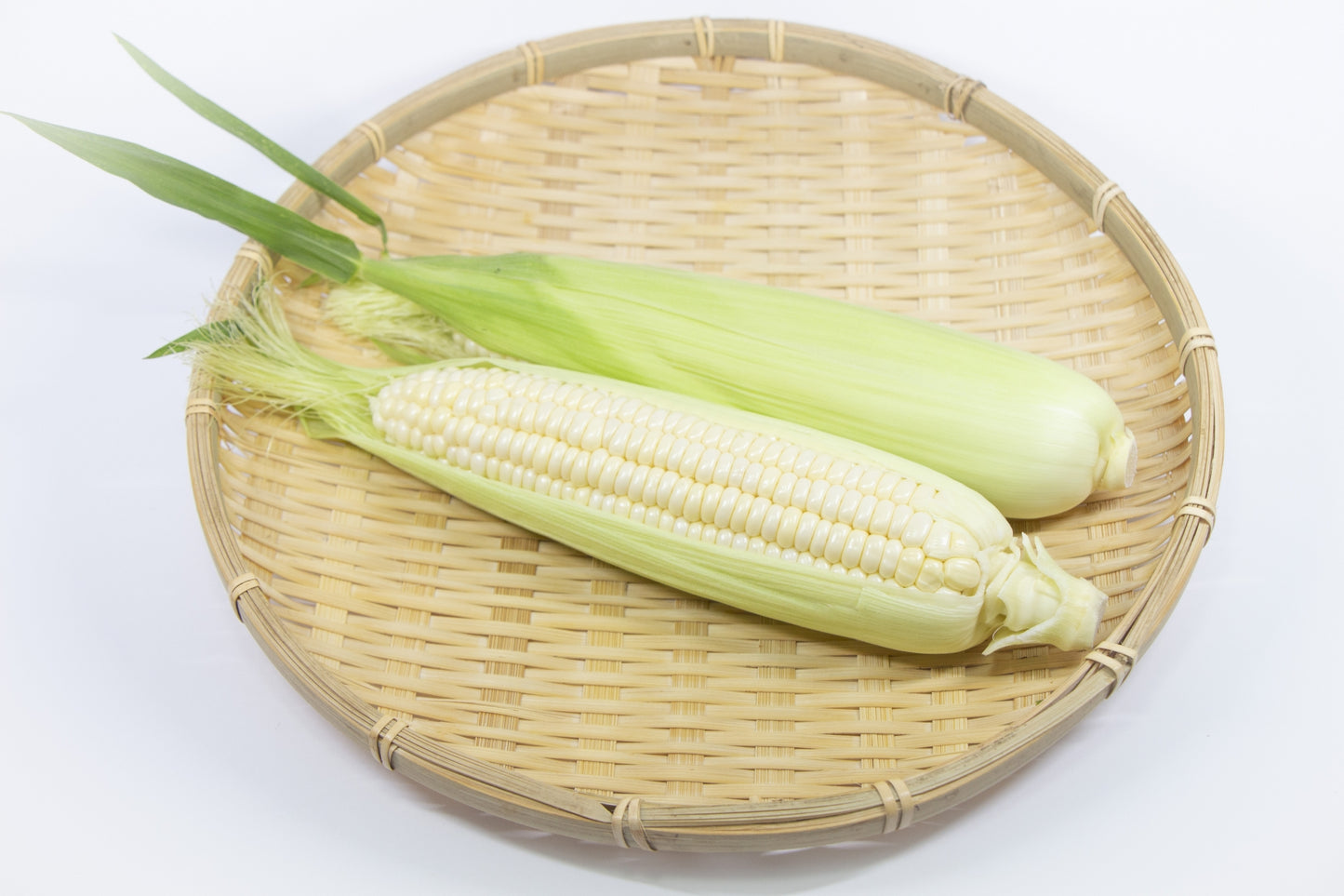 【新商品】ピュアホワイト🌽