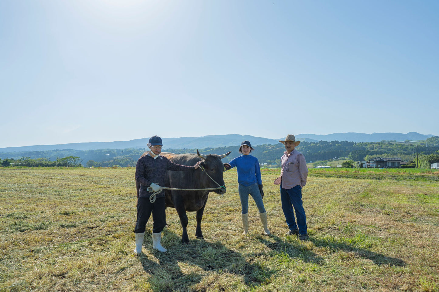 【新商品】いぶさな牛