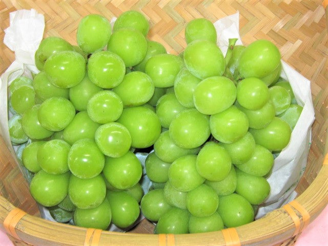 【新商品】シャインマスカット🍇