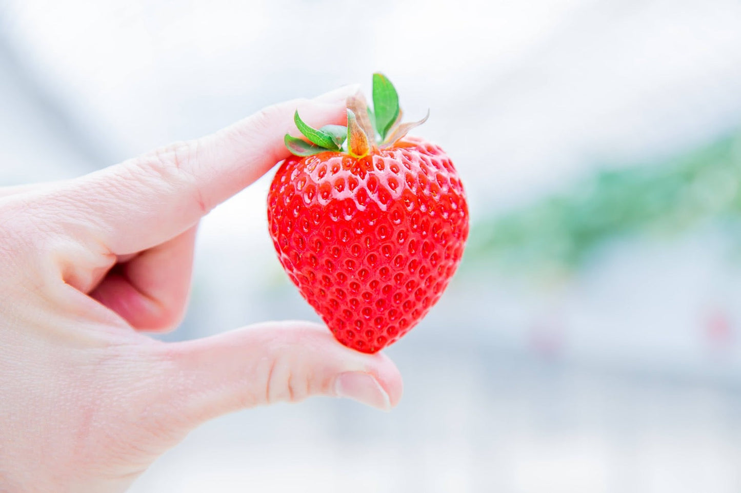 2025.3.20【出店情報】東京イノベーションベース出店のお知らせ