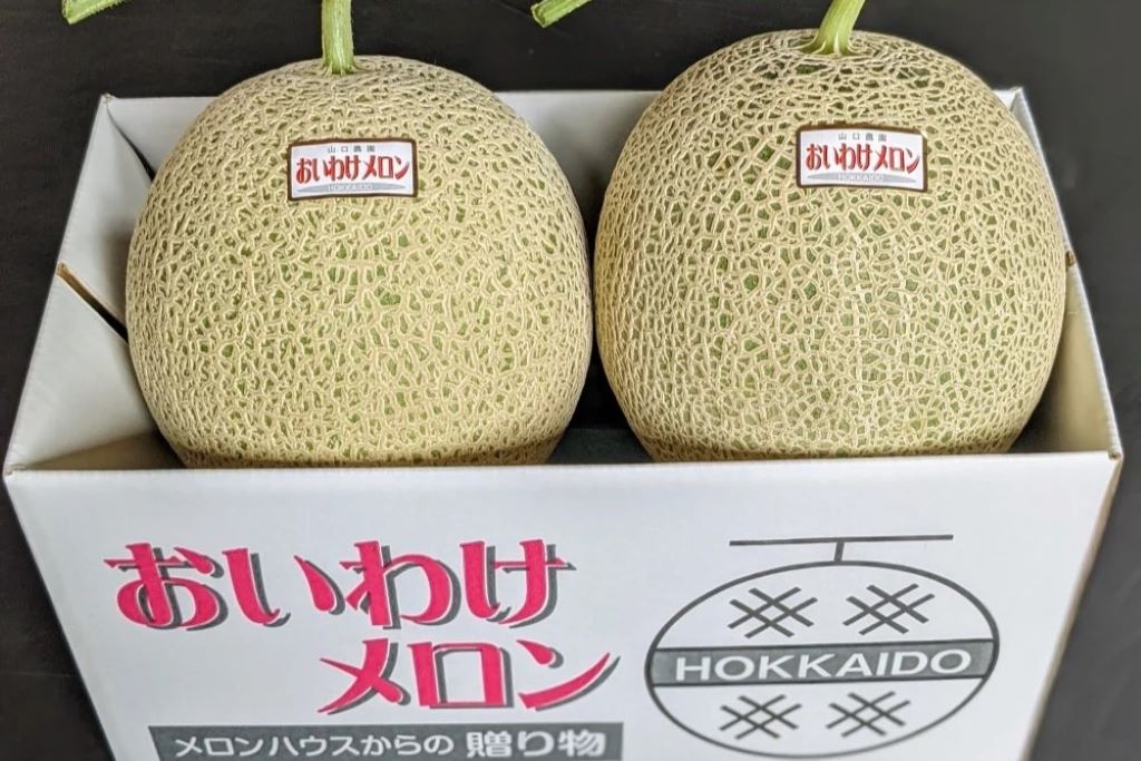 〈7~9月〉北海道 おいわけメロン(赤肉) 【特大2kgサイズ】