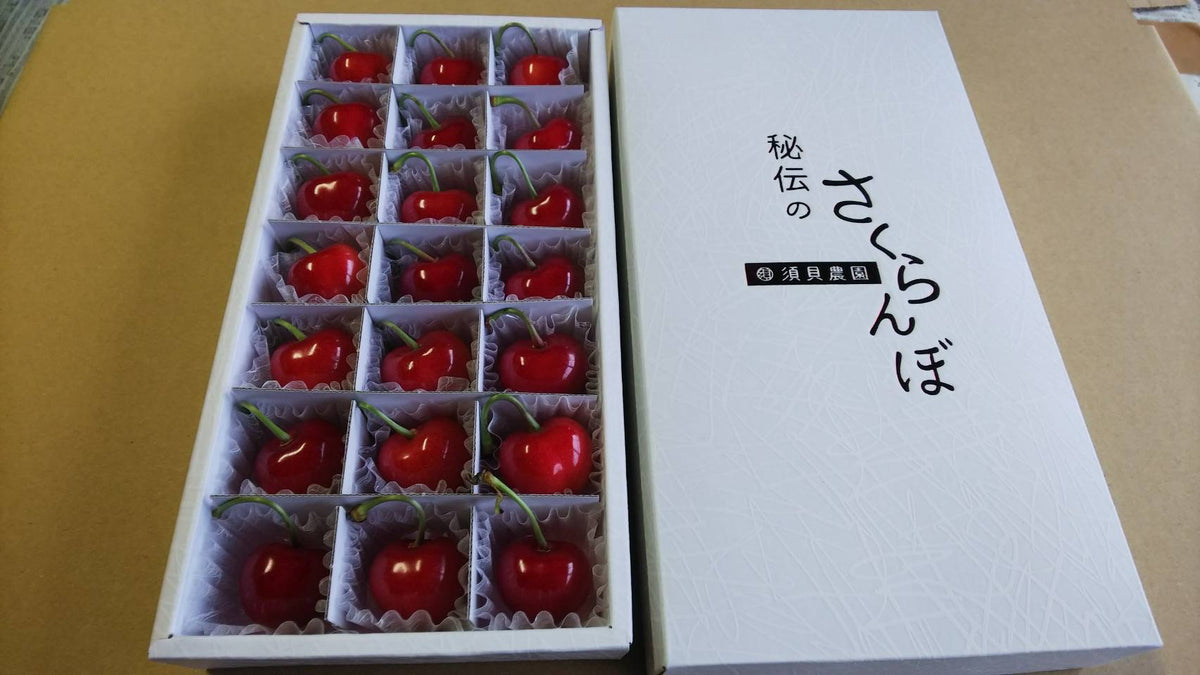 ≪予約受付中≫山形産 ”秘伝のさくらんぼ”【紅秀峰】超特秀