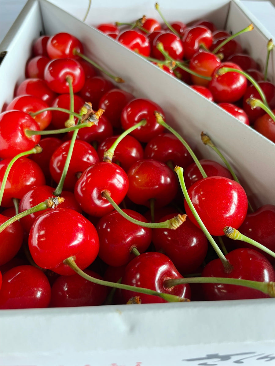 db838e48b980f18de29685a29b8144