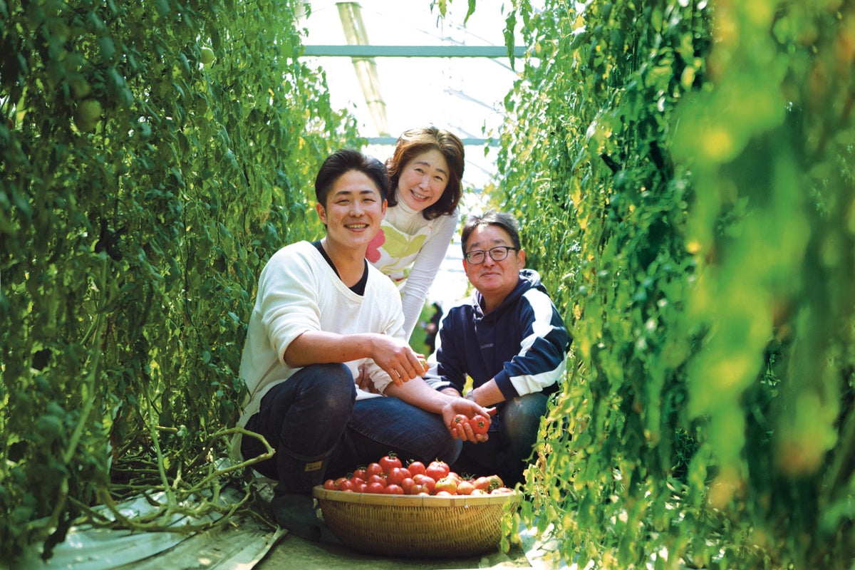 トマト リサ・フルーツトマト【1kg / ギフト用】 – 食べごち