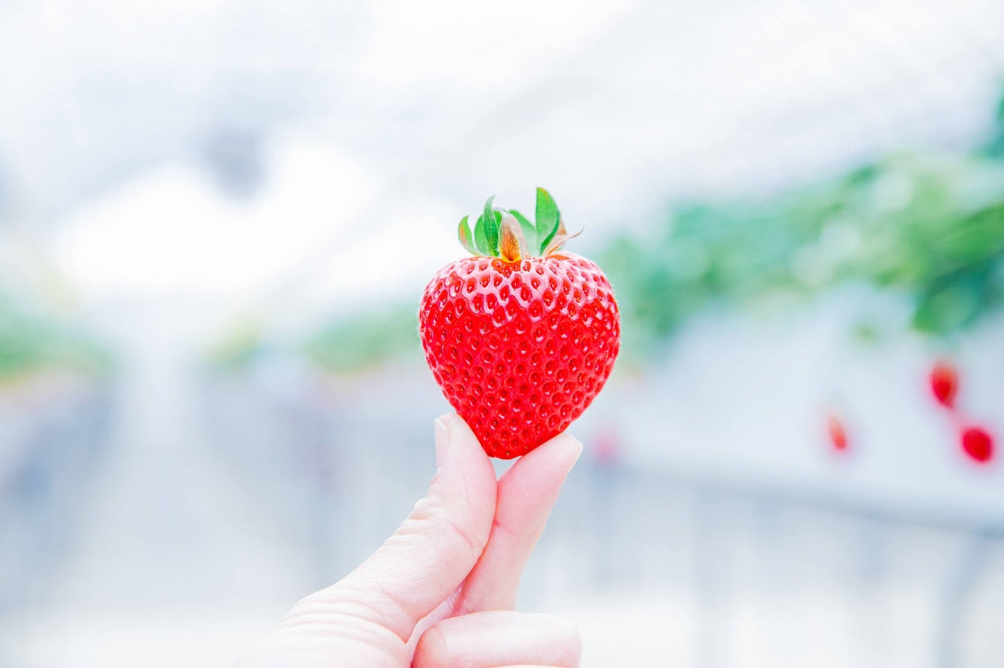 2026.2.11　【出店情報】伊勢丹立川店初出店のお知らせ