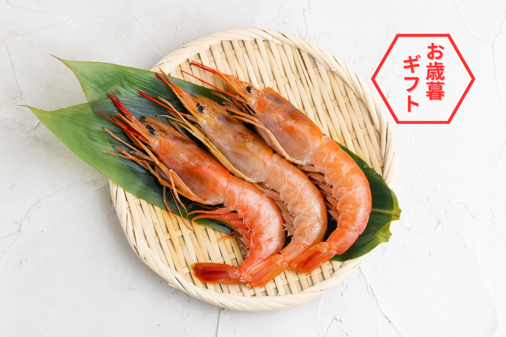 【冬ギフト2025】海のルビー！北海道産 北海シマエビ