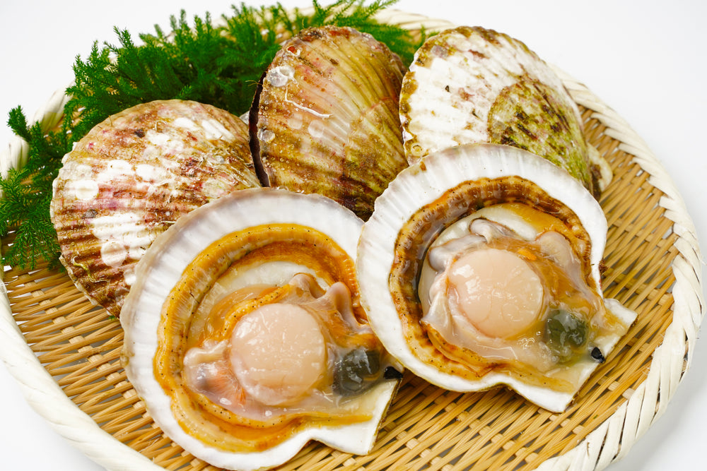 
                  
                    【数量限定】市場直送！北海道産天然殻付き活ホタテ4㎏
                  
                
