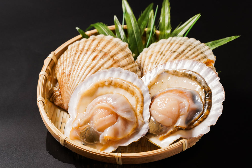
                  
                    【数量限定】市場直送！北海道産天然殻付き活ホタテ4㎏
                  
                