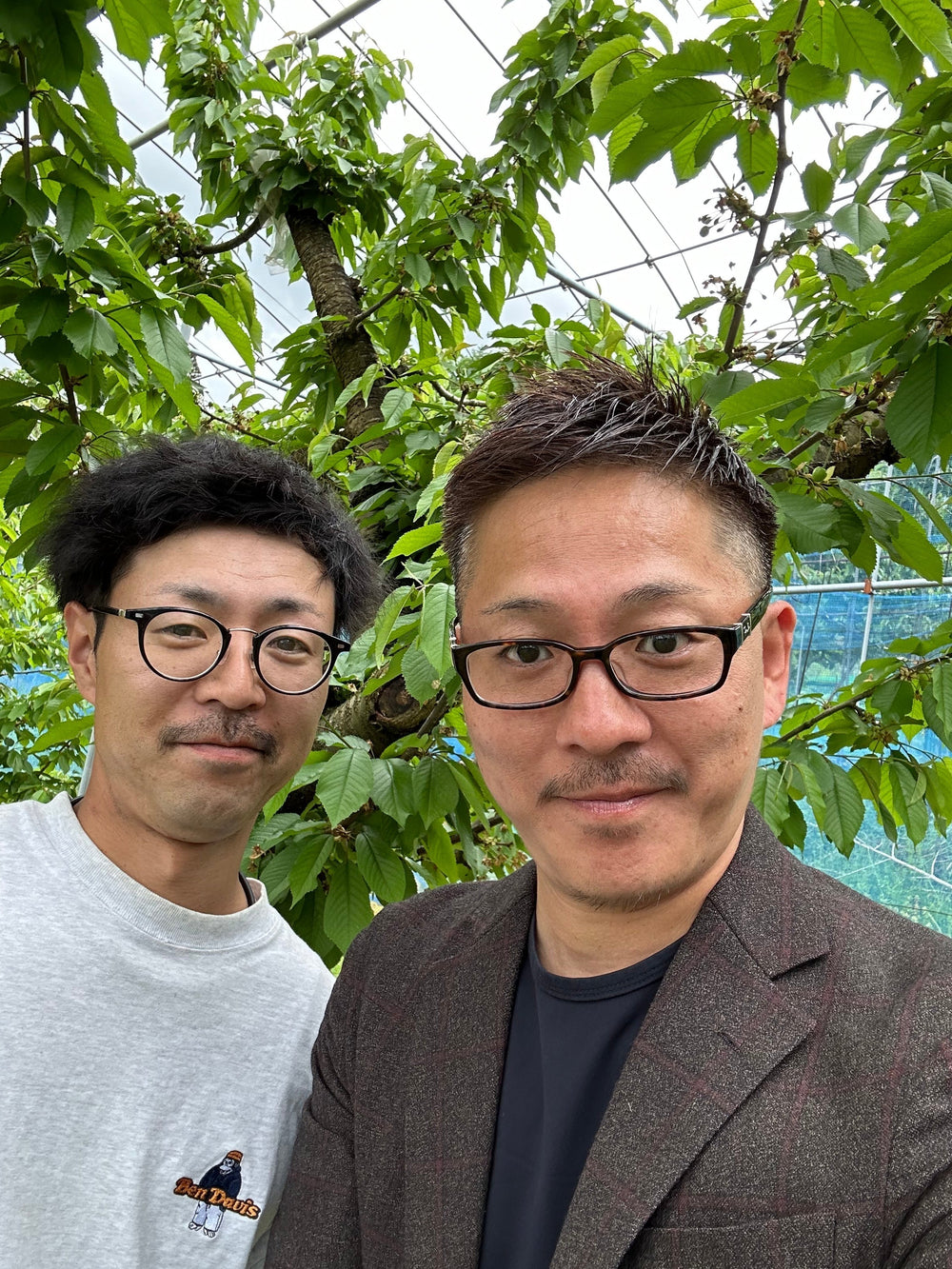 老舗高級稀少ヘラ古墨極上2点 43gx2格安で！ 老舗高級稀少ヘラ古墨極上2点 43gx2格安で！