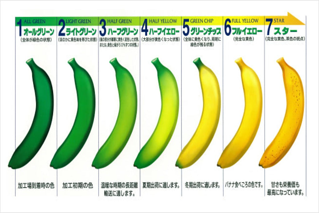 
                  
                    農薬を一切使わない高級国産ブランドバナナ 「NEXT716」　お徳用【1kg】バナナのカラーチャート
                  
                