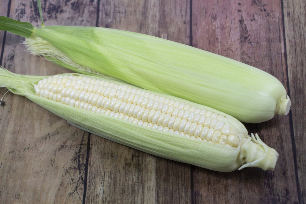 夏商品〉北海道産 幻のフルーツとうもろこし ピュアホワイト5本セット