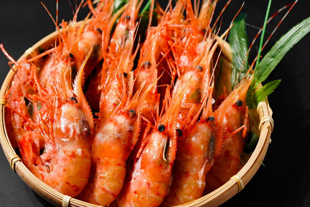 海老の王様 ぼたん海老 【500g/11～12尾】 – 食べごち