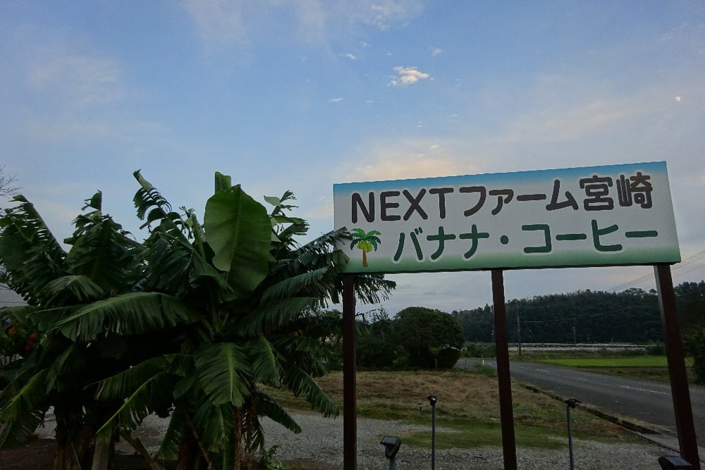 高級国産ブランドバナナ 「NEXT716」 – 食べごち